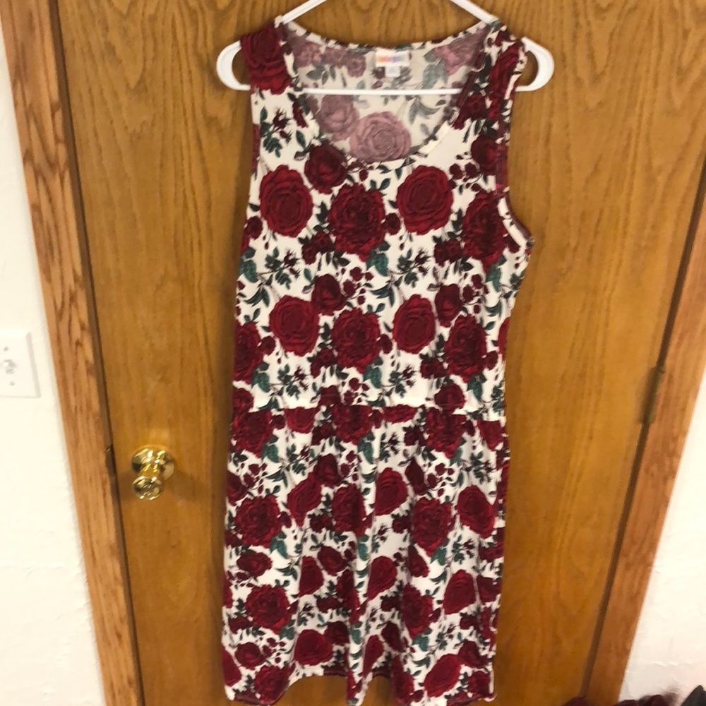 Lularoe floral Summer dress